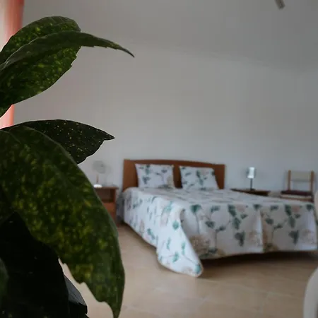Vivenda Godinho Homestay *